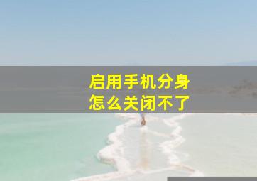 启用手机分身怎么关闭不了