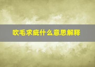 吹毛求疵什么意思解释