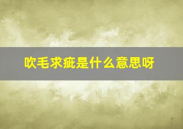 吹毛求疵是什么意思呀