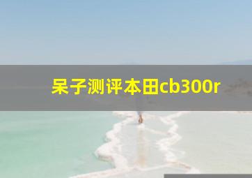 呆子测评本田cb300r