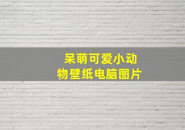 呆萌可爱小动物壁纸电脑图片