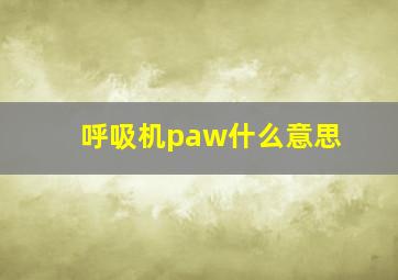 呼吸机paw什么意思