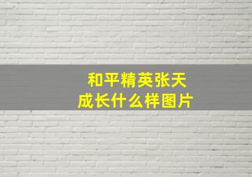 和平精英张天成长什么样图片