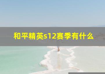 和平精英s12赛季有什么