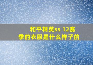 和平精英ss 12赛季的衣服是什么样子的