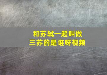 和苏轼一起叫做三苏的是谁呀视频