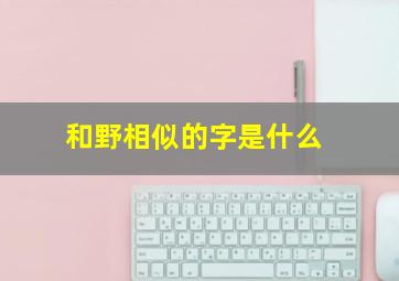 和野相似的字是什么