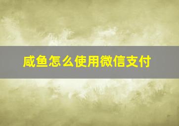 咸鱼怎么使用微信支付