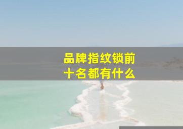 品牌指纹锁前十名都有什么