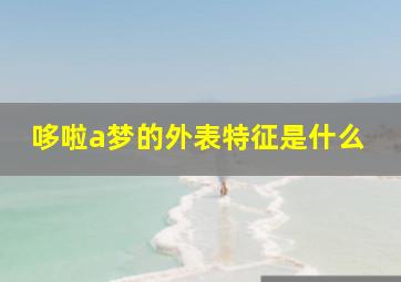 哆啦a梦的外表特征是什么