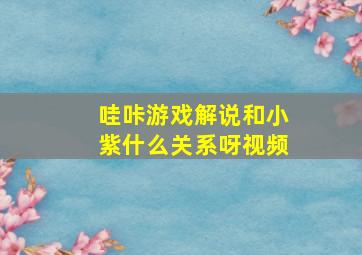 哇咔游戏解说和小紫什么关系呀视频