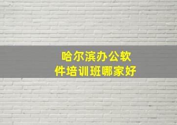 哈尔滨办公软件培训班哪家好