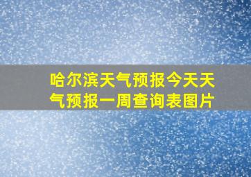 哈尔滨天气预报今天天气预报一周查询表图片