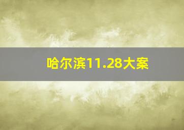 哈尔滨11.28大案