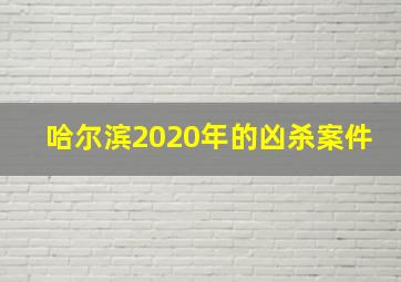 哈尔滨2020年的凶杀案件