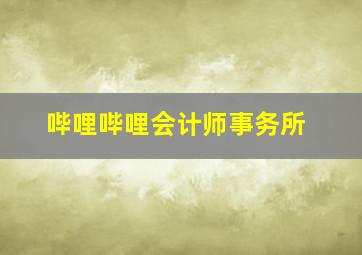 哔哩哔哩会计师事务所