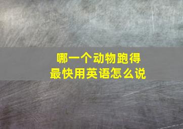 哪一个动物跑得最快用英语怎么说