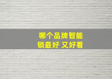 哪个品牌智能锁最好 又好看