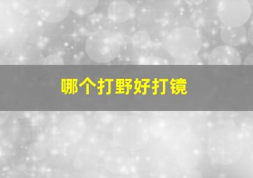 哪个打野好打镜