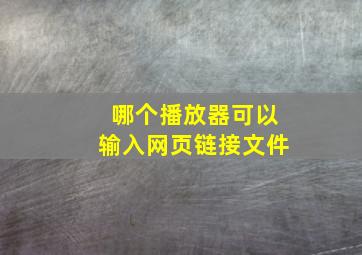 哪个播放器可以输入网页链接文件