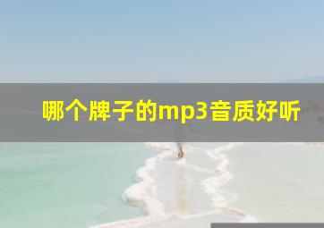 哪个牌子的mp3音质好听