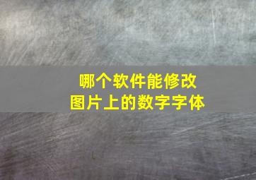 哪个软件能修改图片上的数字字体