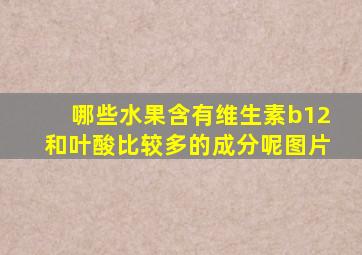 哪些水果含有维生素b12和叶酸比较多的成分呢图片