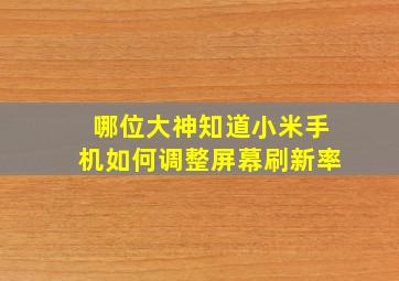 哪位大神知道小米手机如何调整屏幕刷新率