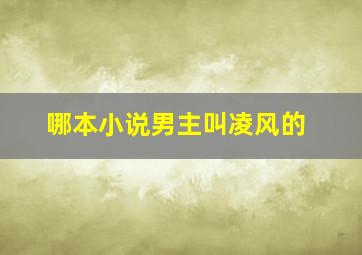 哪本小说男主叫凌风的