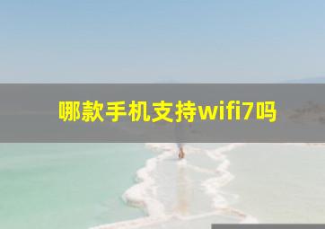 哪款手机支持wifi7吗