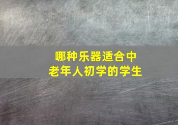 哪种乐器适合中老年人初学的学生