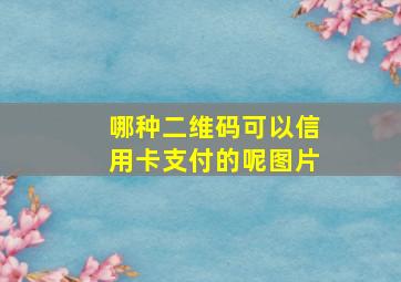 哪种二维码可以信用卡支付的呢图片