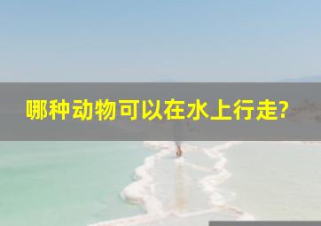 哪种动物可以在水上行走?