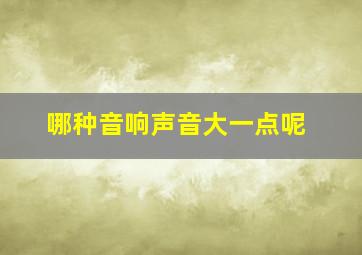 哪种音响声音大一点呢