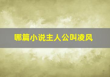 哪篇小说主人公叫凌风