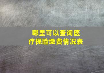 哪里可以查询医疗保险缴费情况表