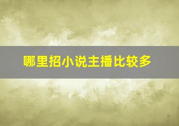 哪里招小说主播比较多