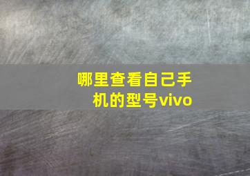 哪里查看自己手机的型号vivo