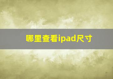 哪里查看ipad尺寸