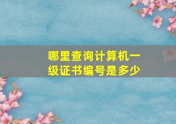 哪里查询计算机一级证书编号是多少