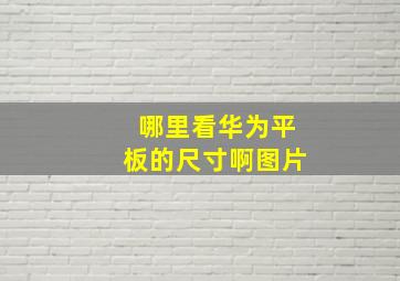 哪里看华为平板的尺寸啊图片