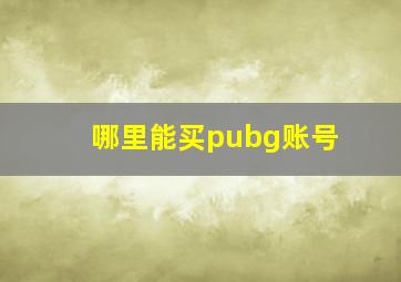 哪里能买pubg账号