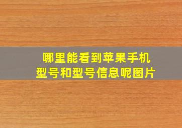 哪里能看到苹果手机型号和型号信息呢图片