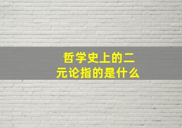 哲学史上的二元论指的是什么