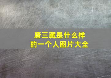 唐三藏是什么样的一个人图片大全