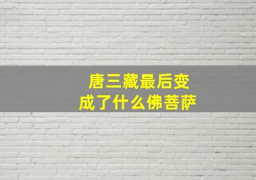 唐三藏最后变成了什么佛菩萨