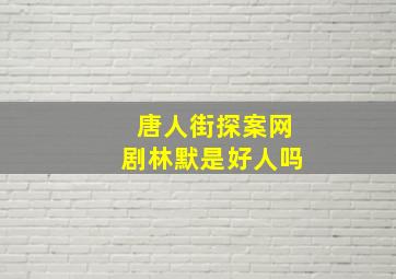 唐人街探案网剧林默是好人吗