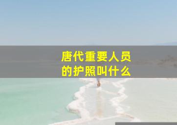 唐代重要人员的护照叫什么