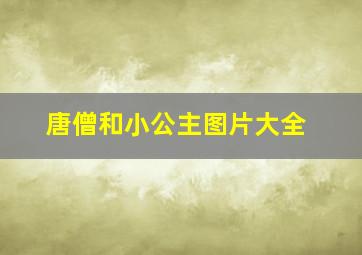 唐僧和小公主图片大全