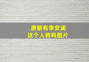 唐朝有李安澜这个人物吗图片